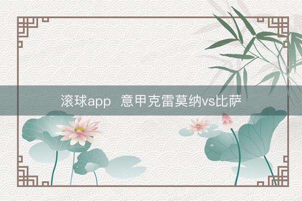 滚球app  意甲克雷莫纳vs比萨