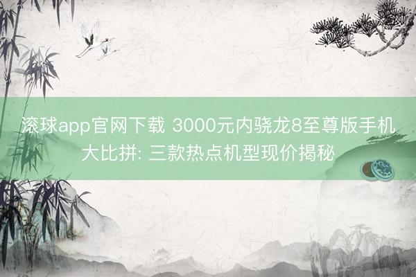 滚球app官网下载 3000元内骁龙8至尊版手机大比拼: 三款热点机型现价揭秘
