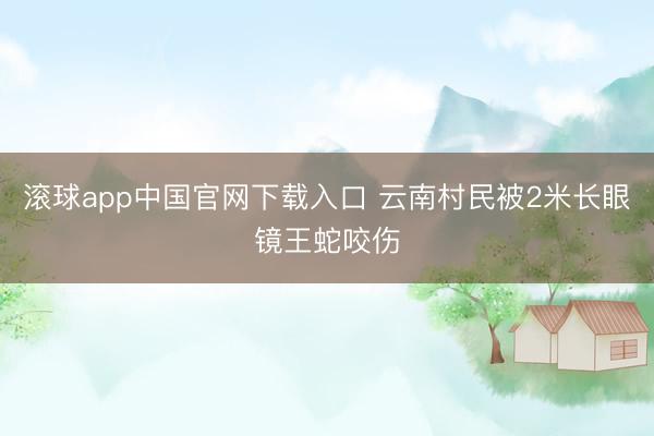 滚球app中国官网下载入口 云南村民被2米长眼镜王蛇咬伤