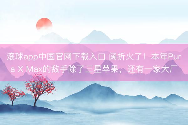 滚球app中国官网下载入口 阔折火了！本年Pura X Max的敌手除了三星苹果，还有一家大厂