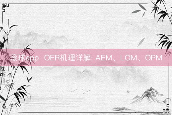 滚球app OER机理详解: AEM、LOM、OPM