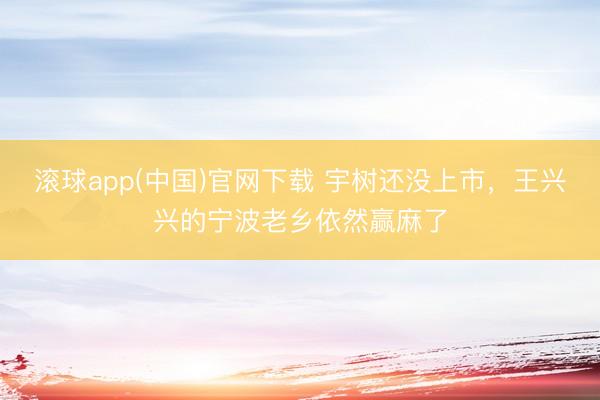 滚球app(中国)官网下载 宇树还没上市，王兴兴的宁波老乡依然赢麻了