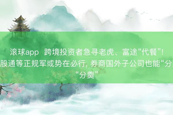 滚球app  跨境投资者急寻老虎、富途“代餐”! 港股通等正规军或势在必行， 券商国外子公司也能“分羹”