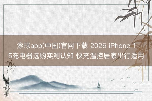 滚球app(中国)官网下载 2026 iPhone 15充电器选购实测认知 快充温控居家出行适用