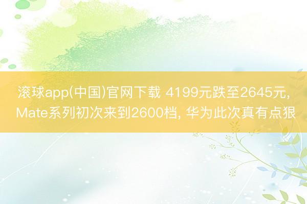 滚球app(中国)官网下载 4199元跌至2645元， Mate系列初次来到2600档， 华为此次真有点狠