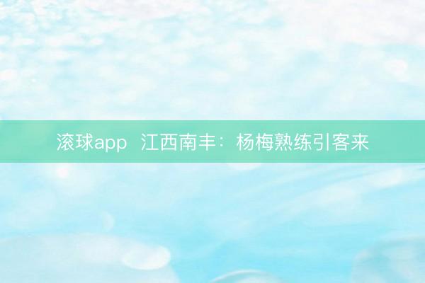 滚球app  江西南丰：杨梅熟练引客来
