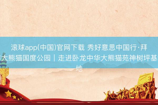 滚球app(中国)官网下载 秀好意思中国行·拜访大熊猫国度公园｜走进卧龙中华大熊猫苑神树坪基地
