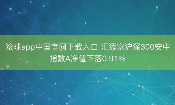 滚球app中国官网下载入口 汇添富沪深300安中指数A净值下