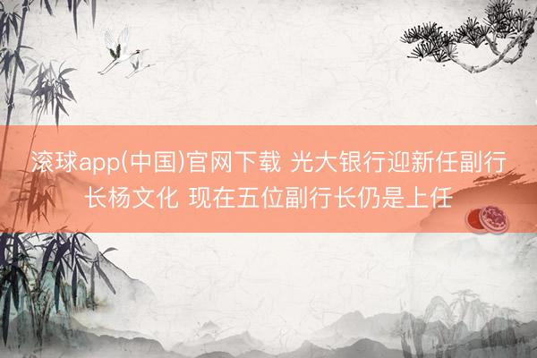 滚球app(中国)官网下载 光大银行迎新任副行长杨文化 现在五位副行长仍是上任