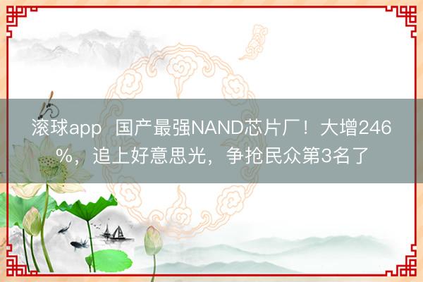 滚球app  国产最强NAND芯片厂！大增246%，追上好意思光，争抢民众第3名了