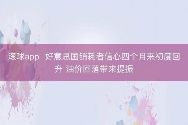 滚球app  好意思国销耗者信心四个月来初度回升 油价回落带来提振