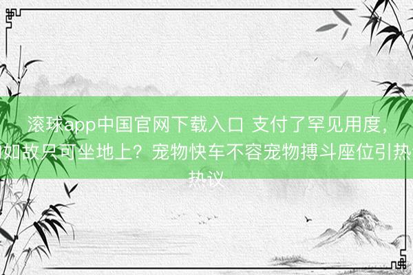 滚球app中国官网下载入口 支付了罕见用度,狗如故只可坐地上?宠物快车不容宠物搏斗座位引热议