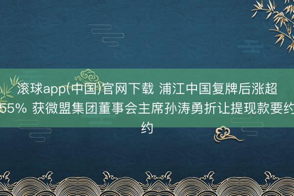 滚球app(中国)官网下载 浦江中国复牌后涨超55% 获微盟集团董事会主席孙涛勇折让提现款要约