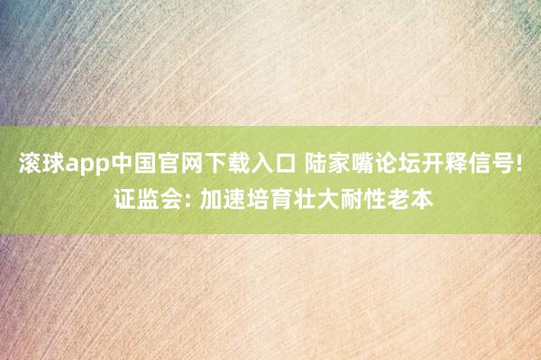 滚球app中国官网下载入口 陆家嘴论坛开释信号! 证监会: 加速培育壮大耐性老本