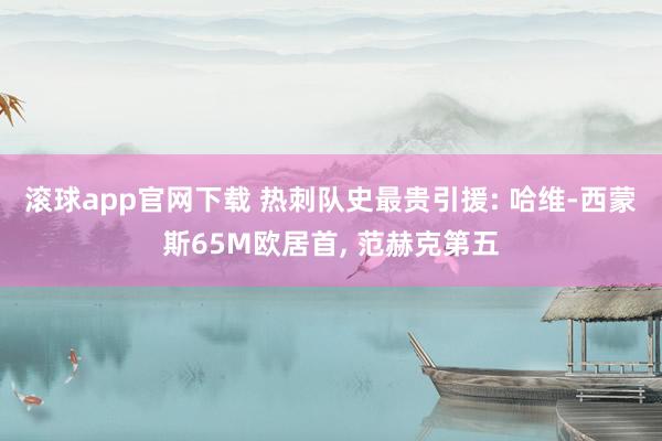 滚球app官网下载 热刺队史最贵引援: 哈维-西蒙斯65M欧居首, 范赫克第五